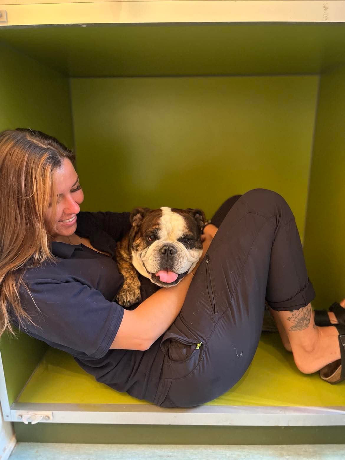 8d7d9a03e577ab1e3962281e8e1c0f85