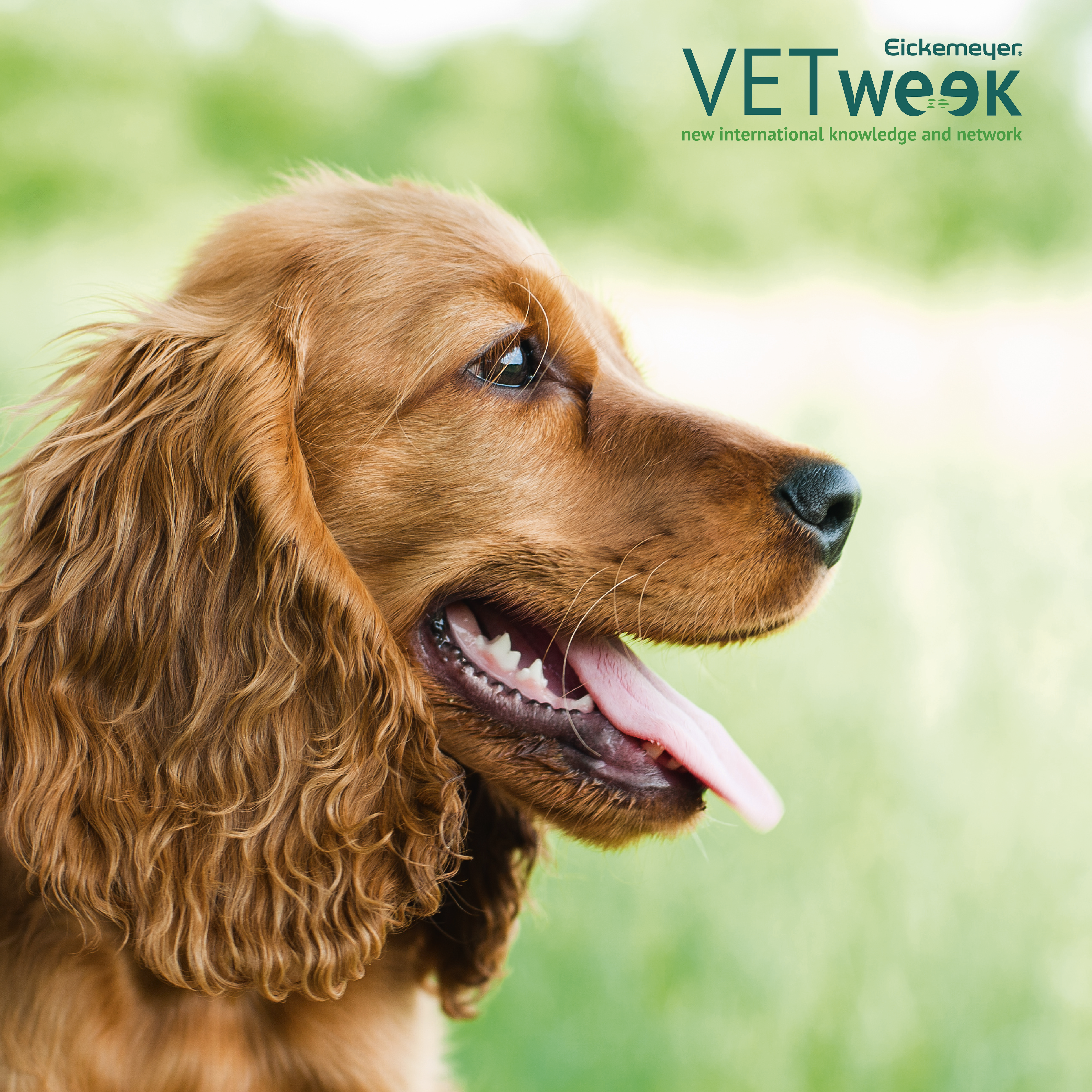 VETweek mar265(1)