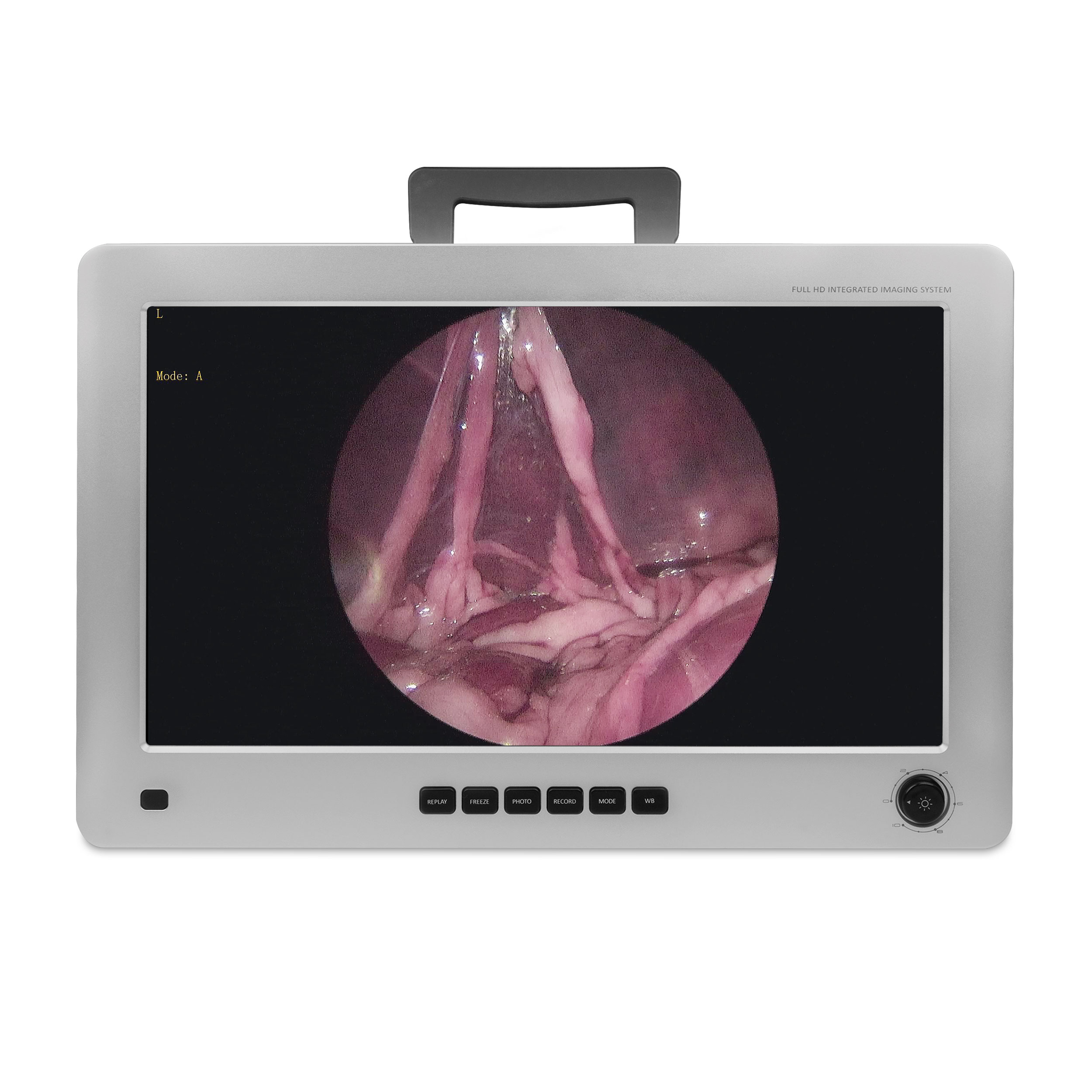 Endoskopi monitor, EickView 4-i-1