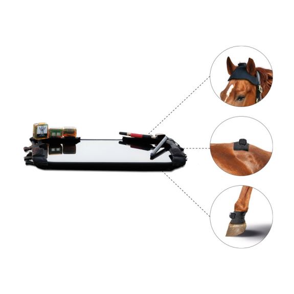 EQUINOSIS Q™ Lameness Locator